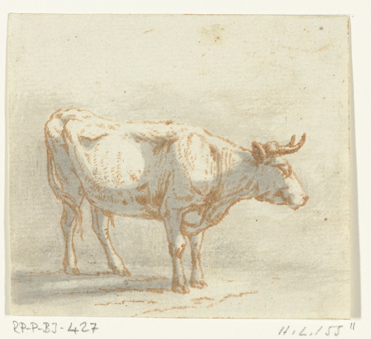 Stier stehend, nach rechts von Ernst Willem Jan Bagelaar