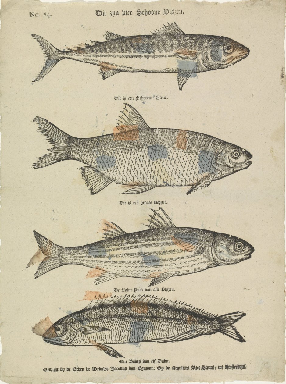 Dies sind vier schöne Fische von Erven de Weduwe Jacobus van Egmont