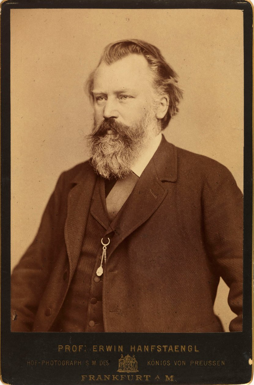Porträt des Komponisten Johannes Brahms 1833-1897, ca. 1870 von Erwin Hanfstaengl