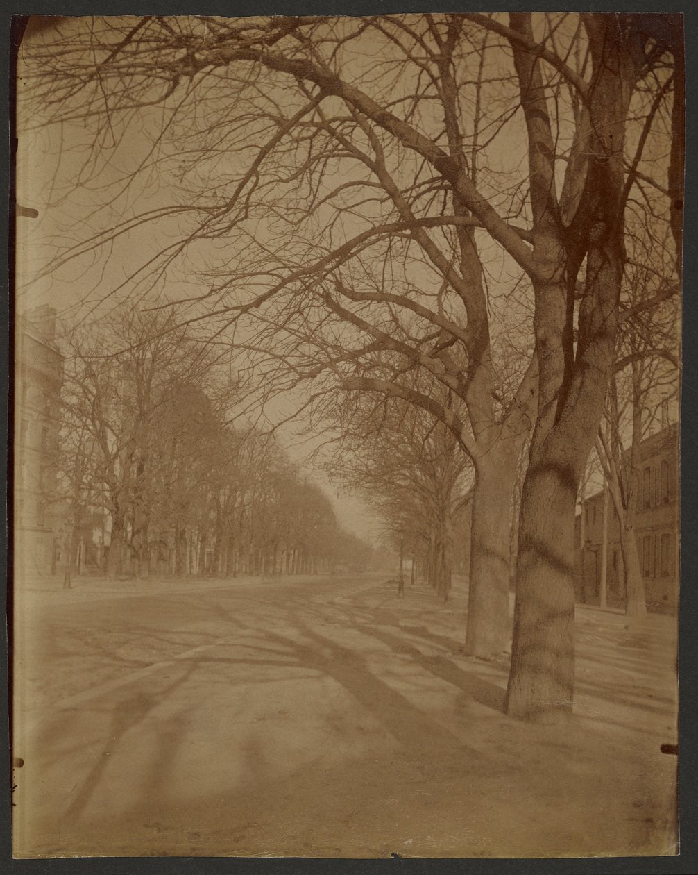 Avenue de l