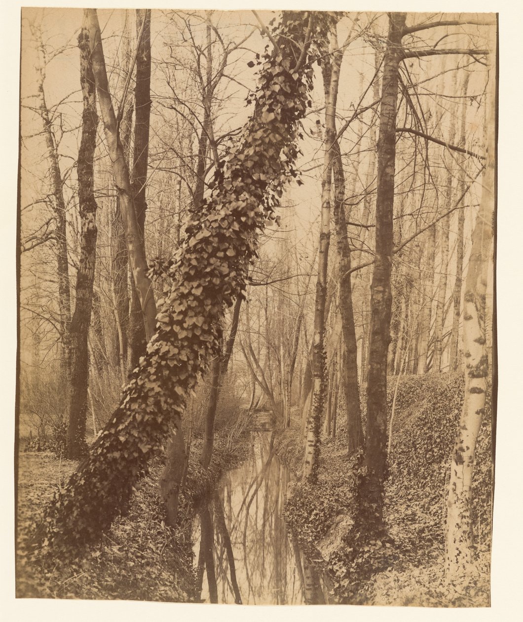 La Bièvre, Boulevard d