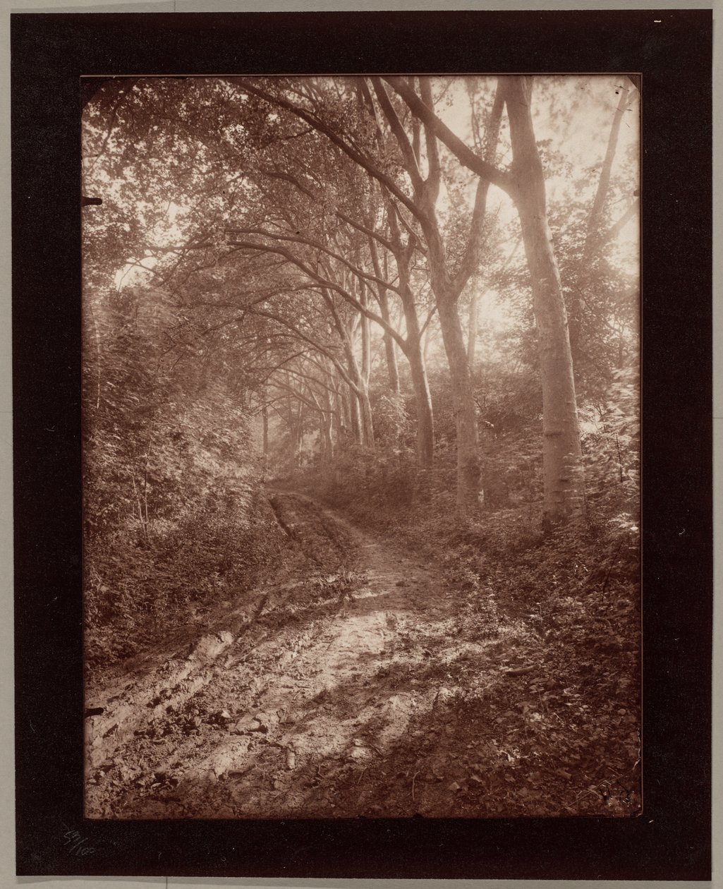 Parc de Sceaux von Eugène Atget