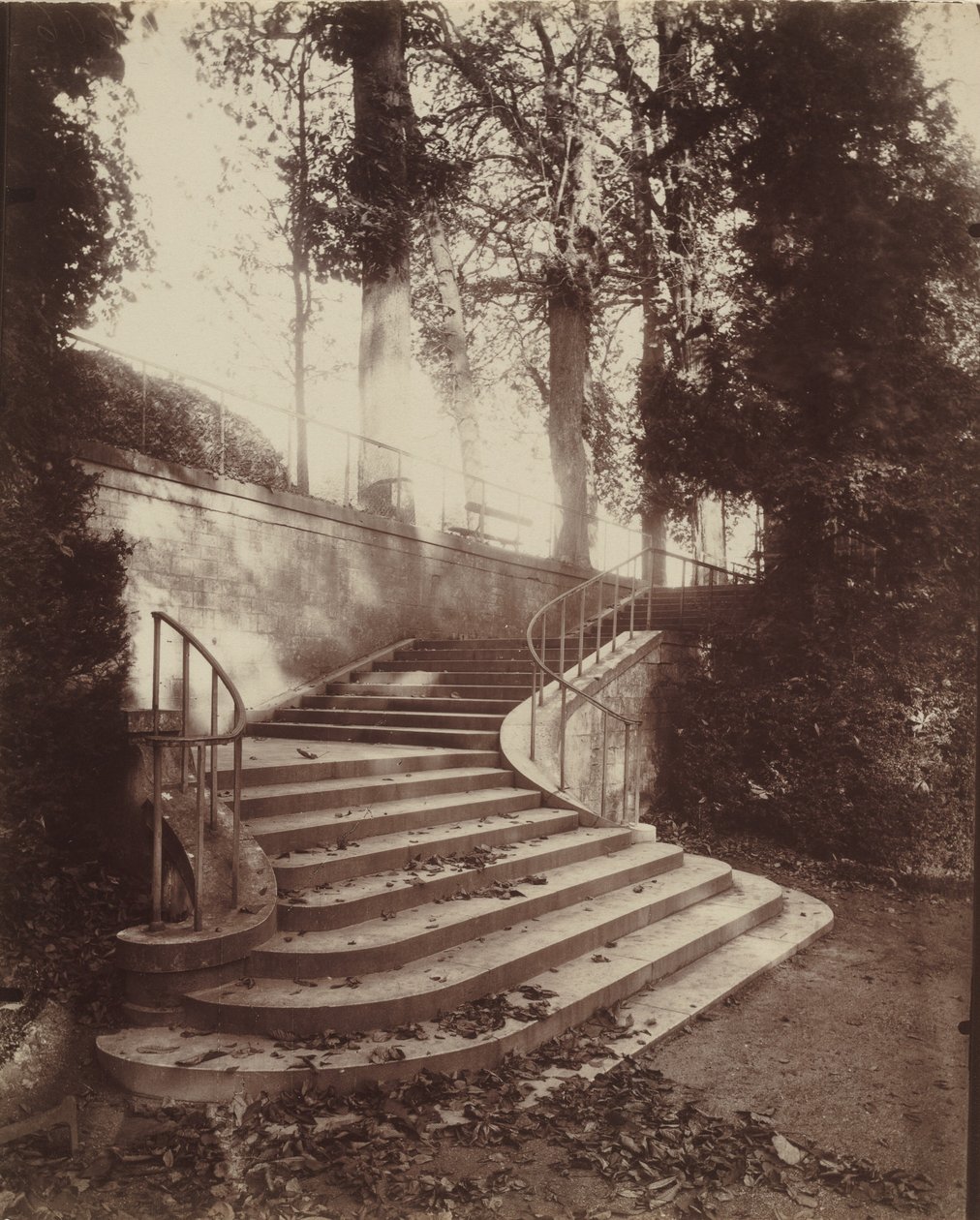 Die Stufen von Saint-Cloud von Eugène Atget