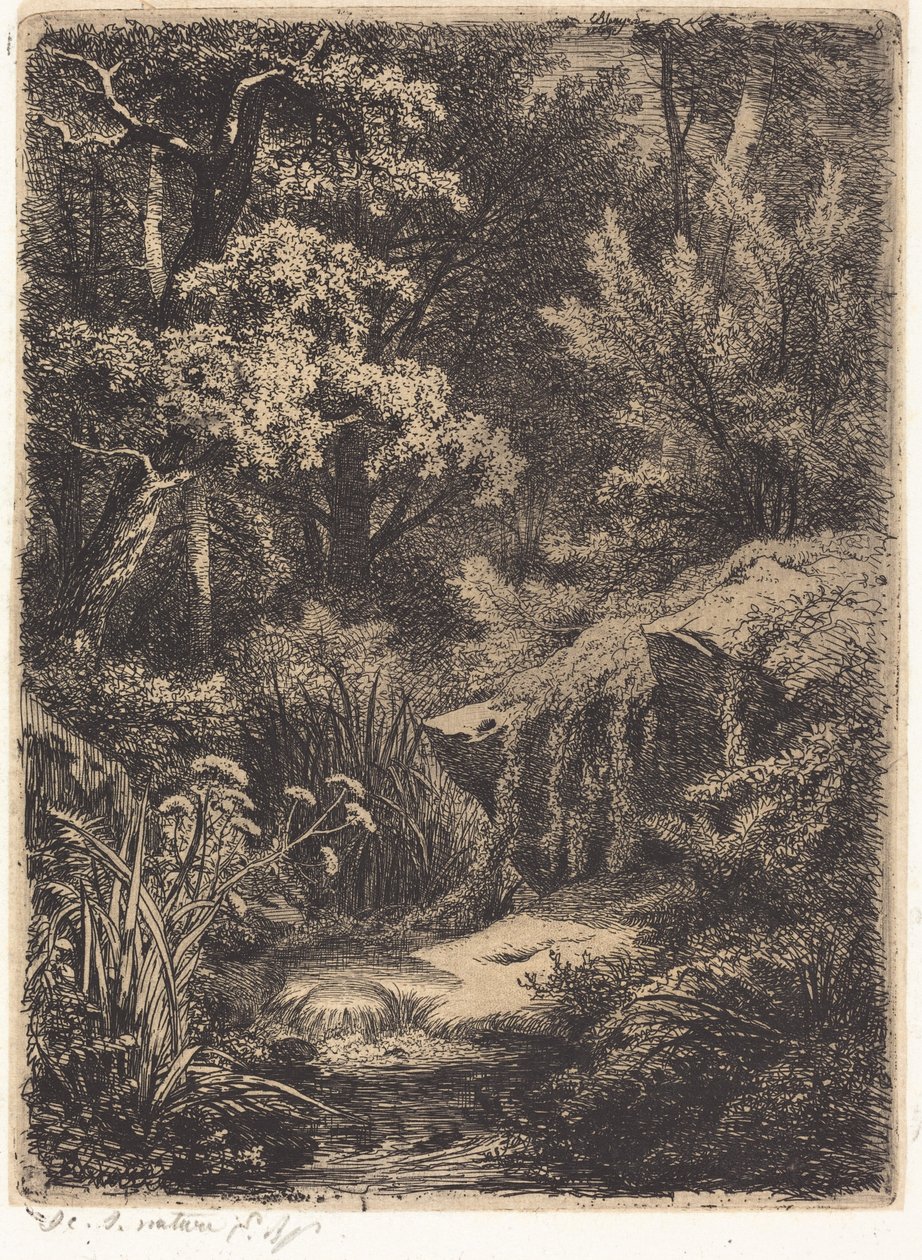 Der kleine Bach von Eugene Bléry