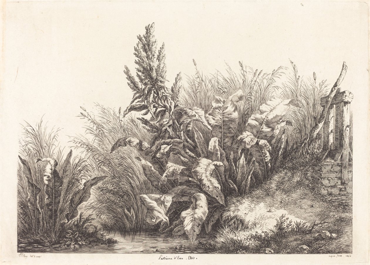 Geduld des Wassers, Studie eines Geduld-Docks, 1840 von Eugene Bléry