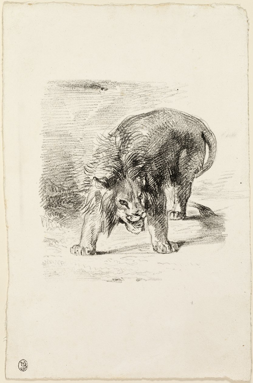Stehender Löwe von Eugène Delacroix