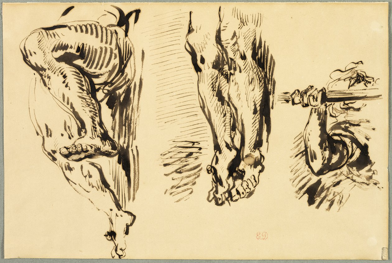 Studie von Armen und Beinen des gekreuzigten Christus von Eugène Delacroix