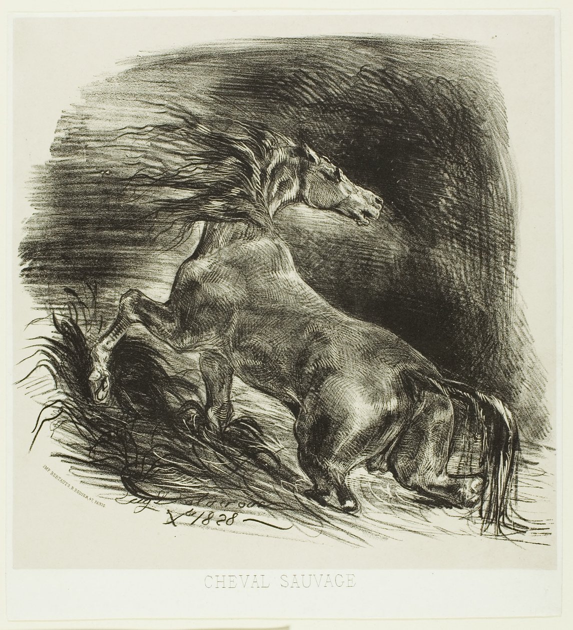 Wildes Pferd oder verängstigtes Pferd verlässt das Wasser von Eugène Delacroix