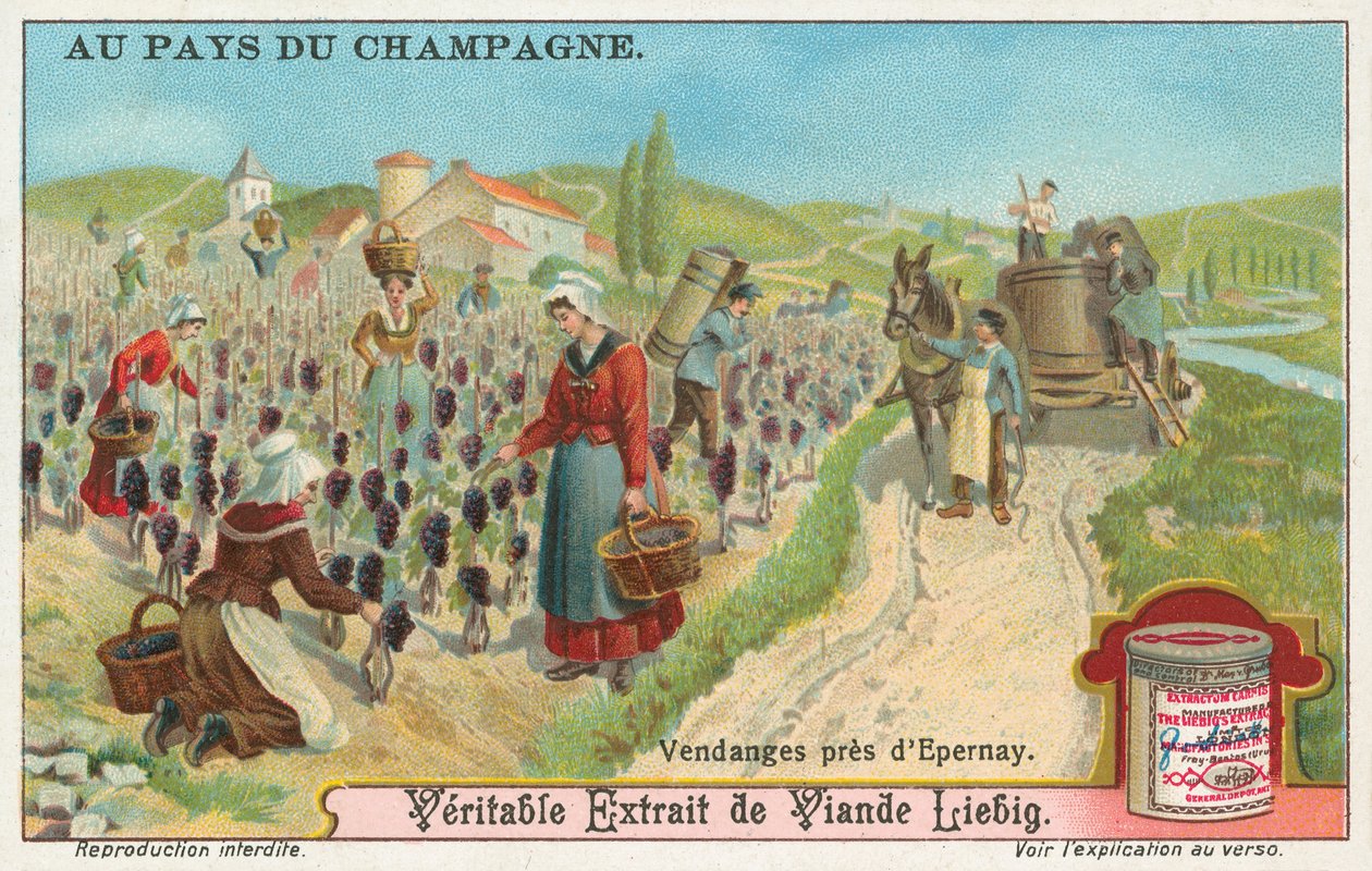 Champagner, Liebig-Karte, frühes 20. Jahrhundert von European School