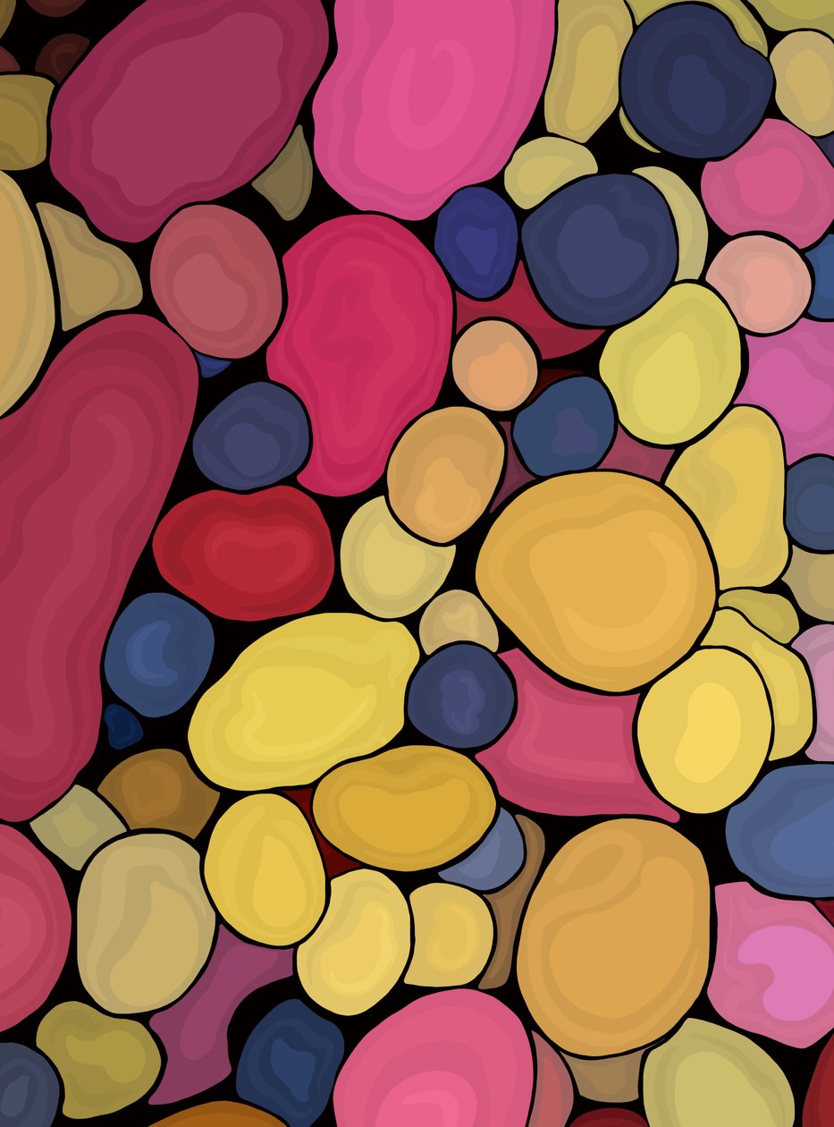 100 Kartoffeln, 2025 von Evan Sklar