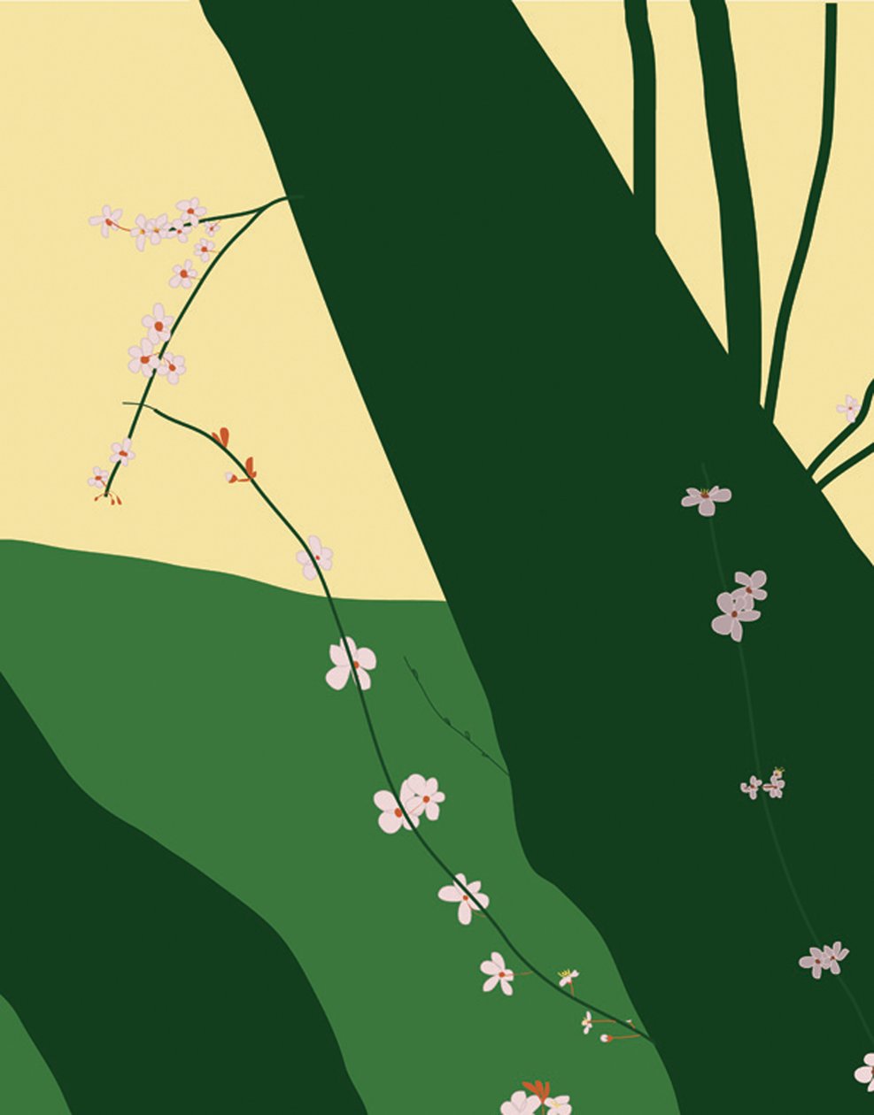 Kirschblüten, 2015 von Evan Sklar