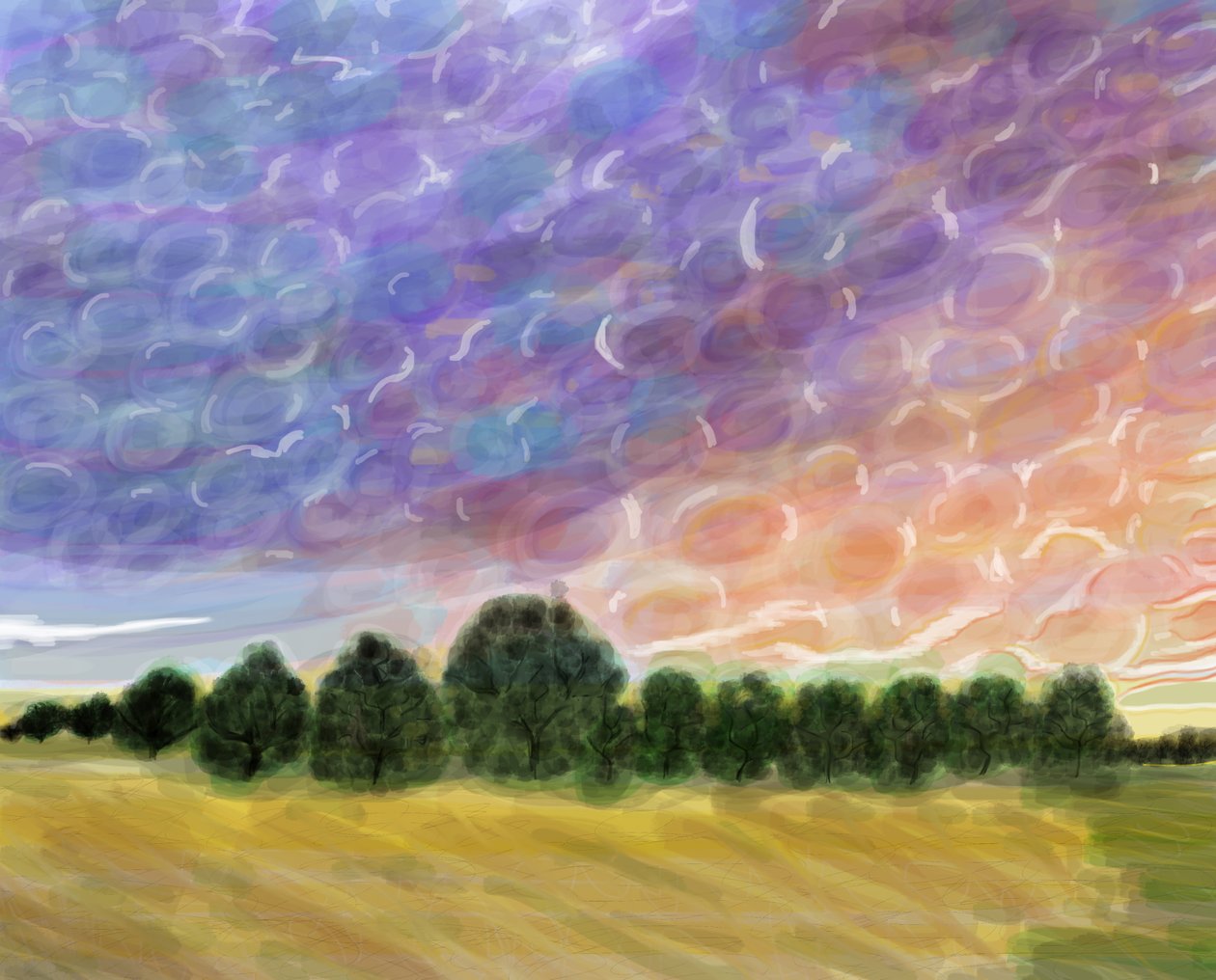 Feld in Vermont, 2018 von Evan Sklar