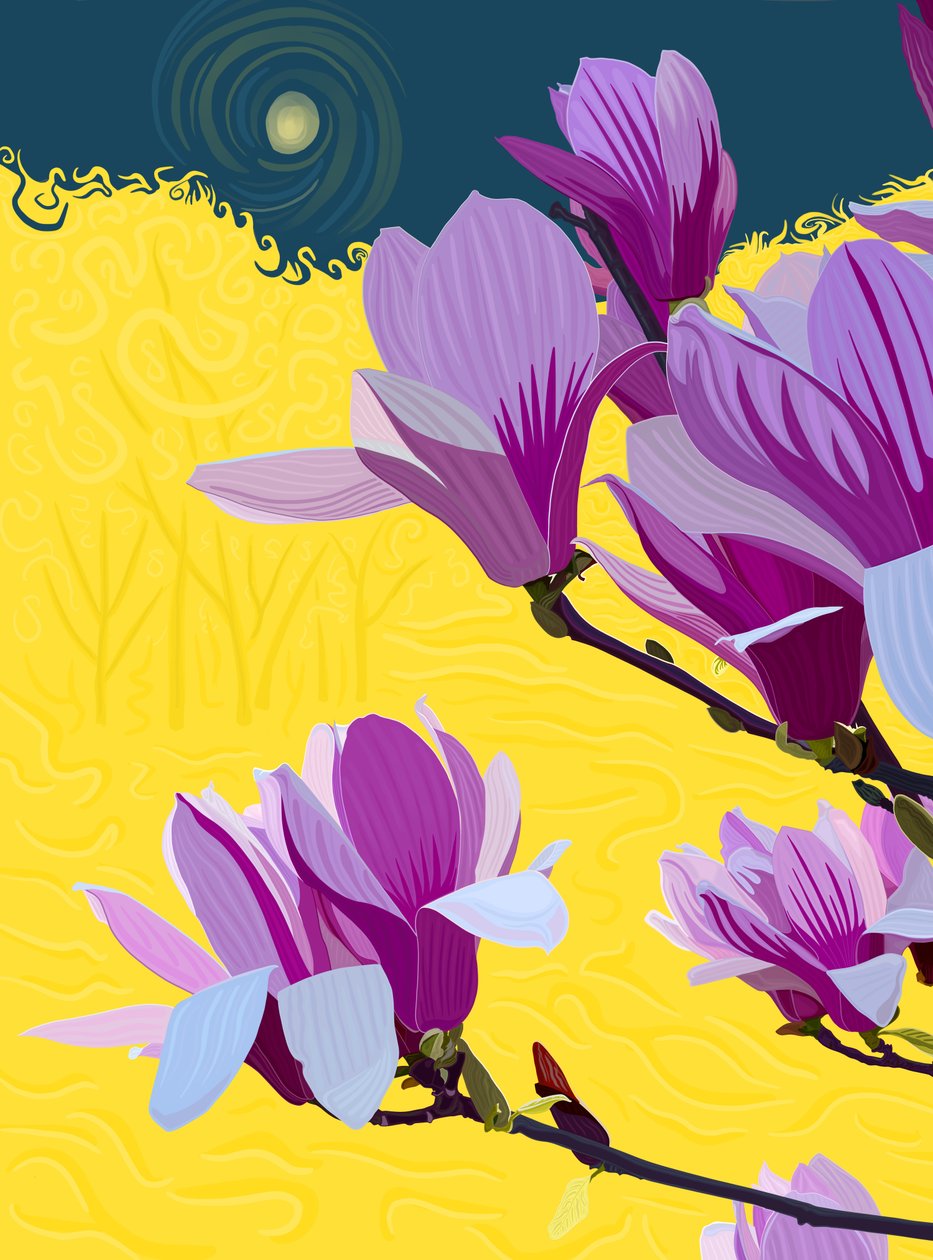 Blühender Tulpenbaum von Evan Sklar