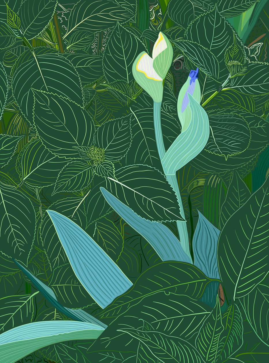 Iris und Hortensie von Evan Sklar