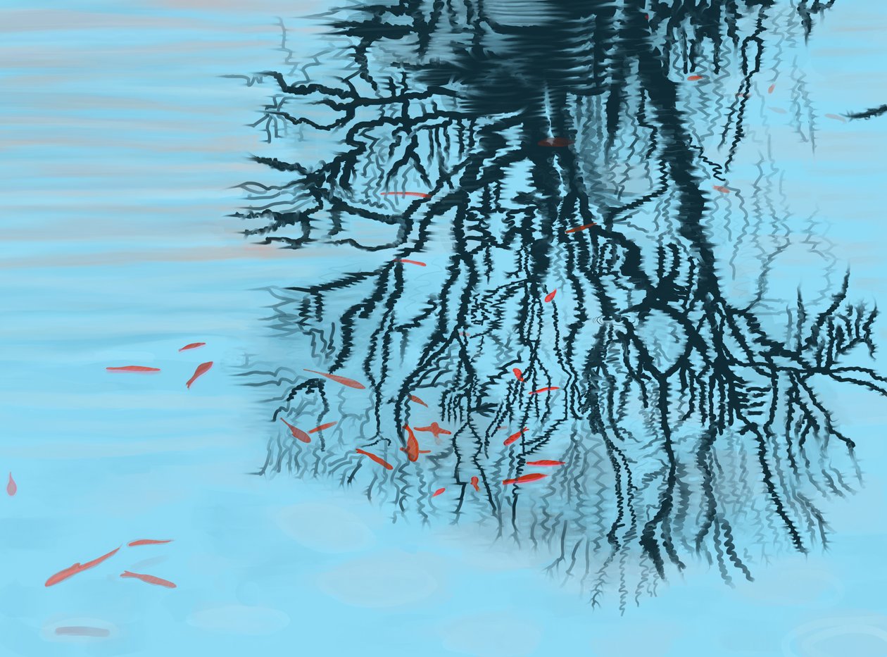 Koi und Baumzweige von Evan Sklar