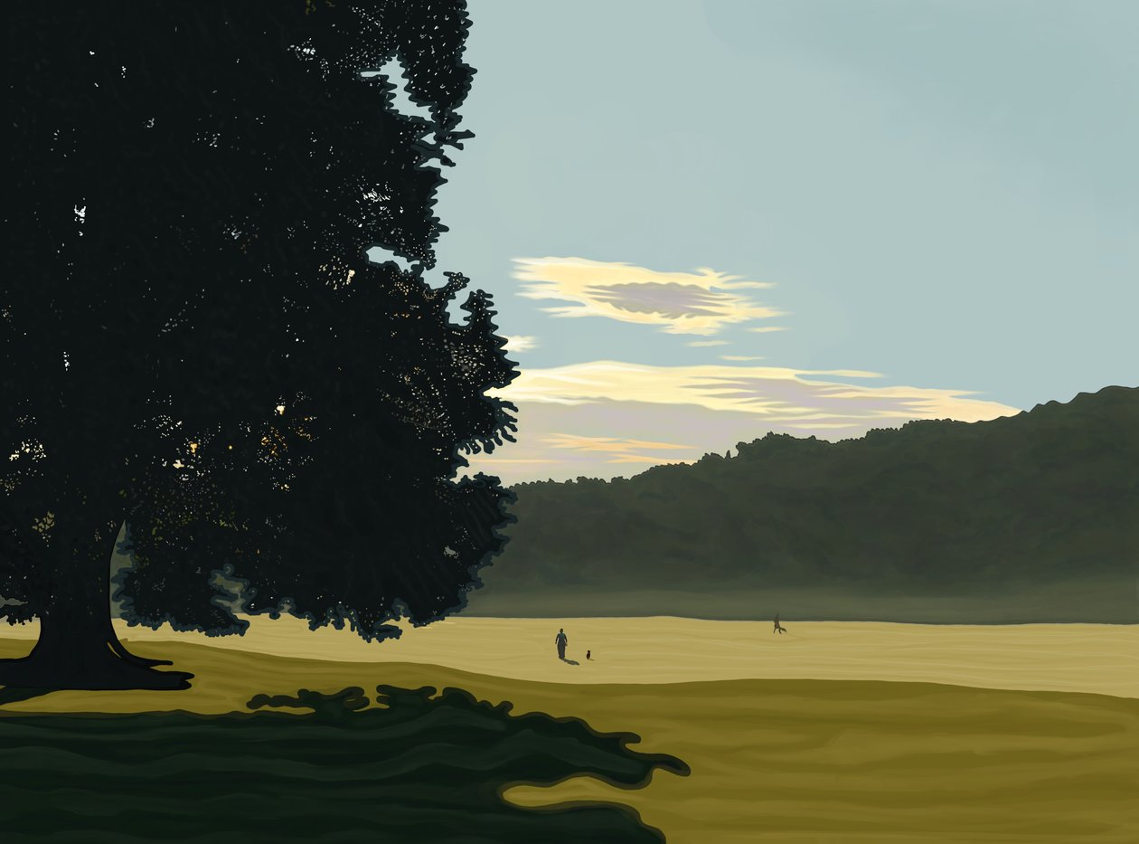 Morgennebel, Prospect Park, Brooklyn von Evan Sklar