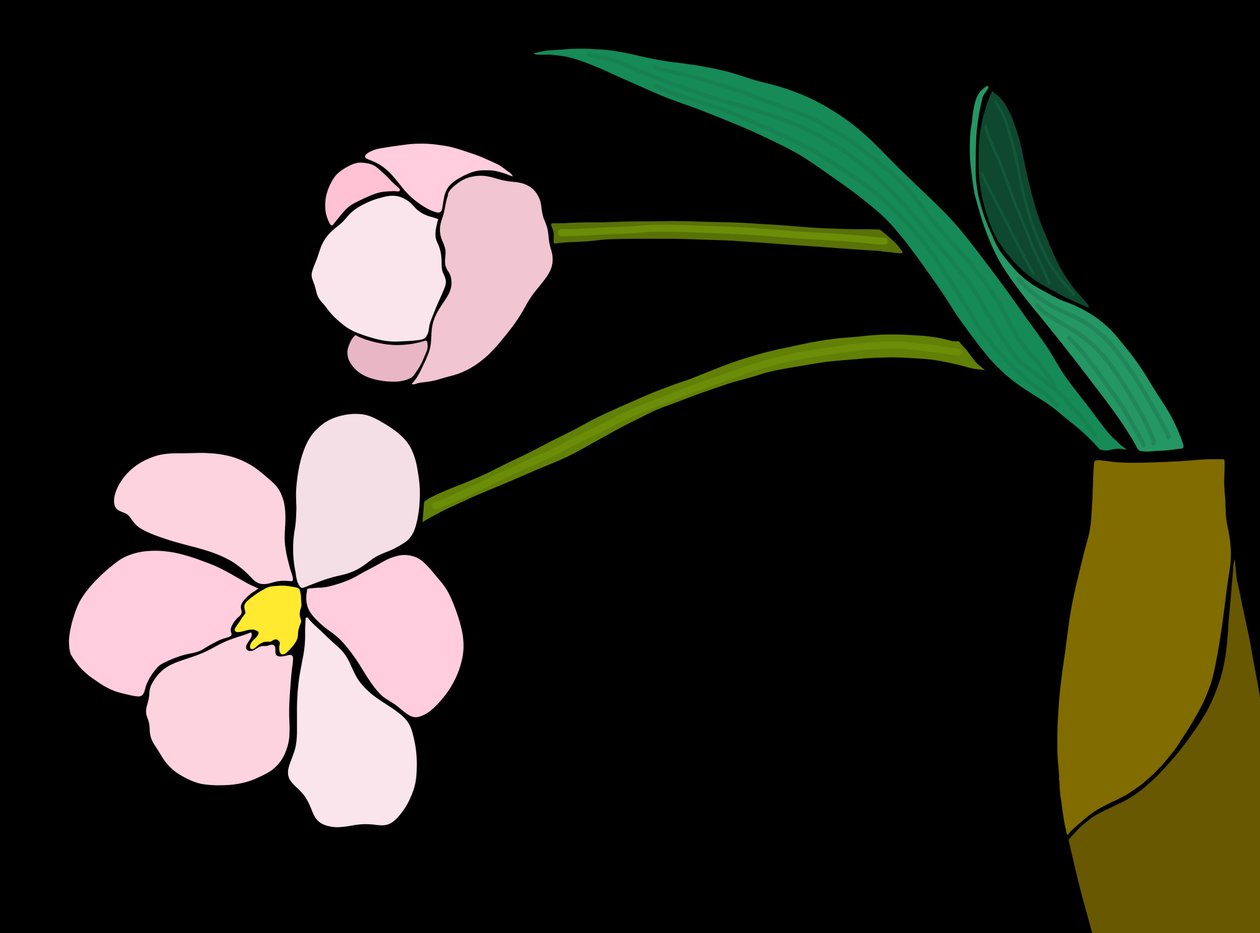 Rosa Blumen von Evan Sklar