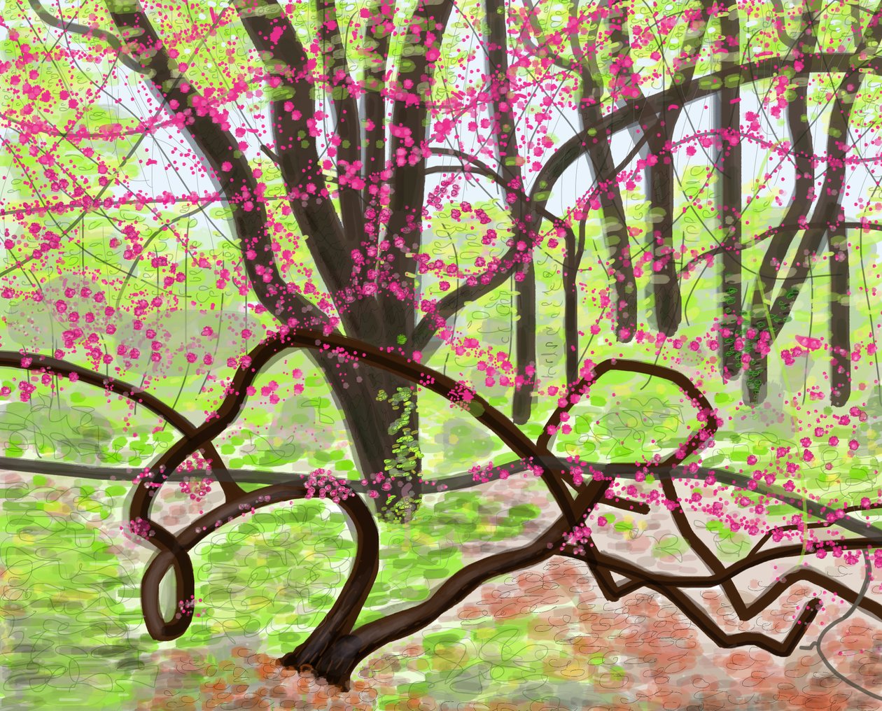 Prospect Park, Frühling, 2017 von Evan Sklar