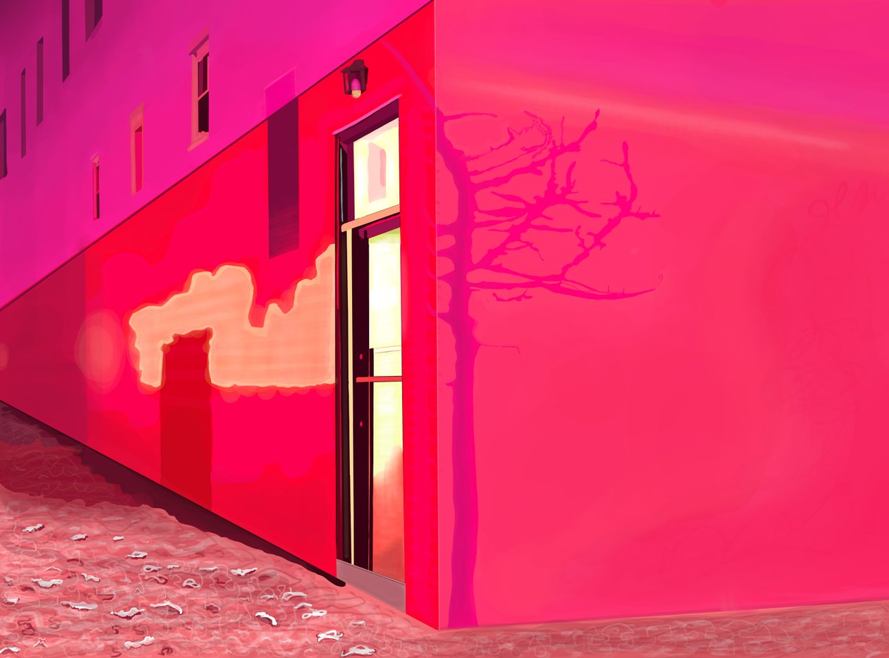 Rotes Licht von Sirene und Schatten eines kleinen Baumes an der Gebäudeseite in der 12. Straße in einer verschneiten Nacht von Evan Sklar