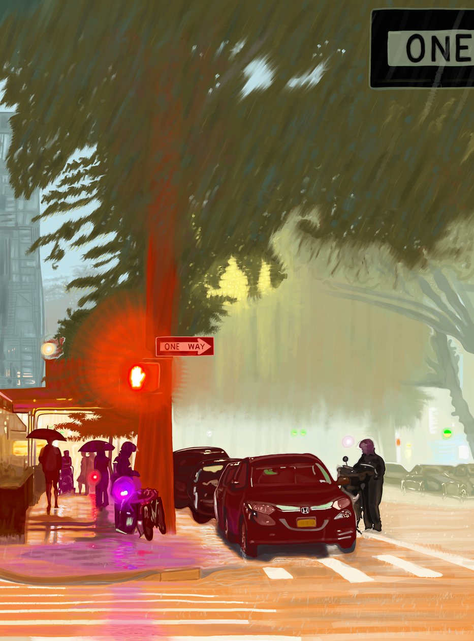 Sommerregensturm von Evan Sklar