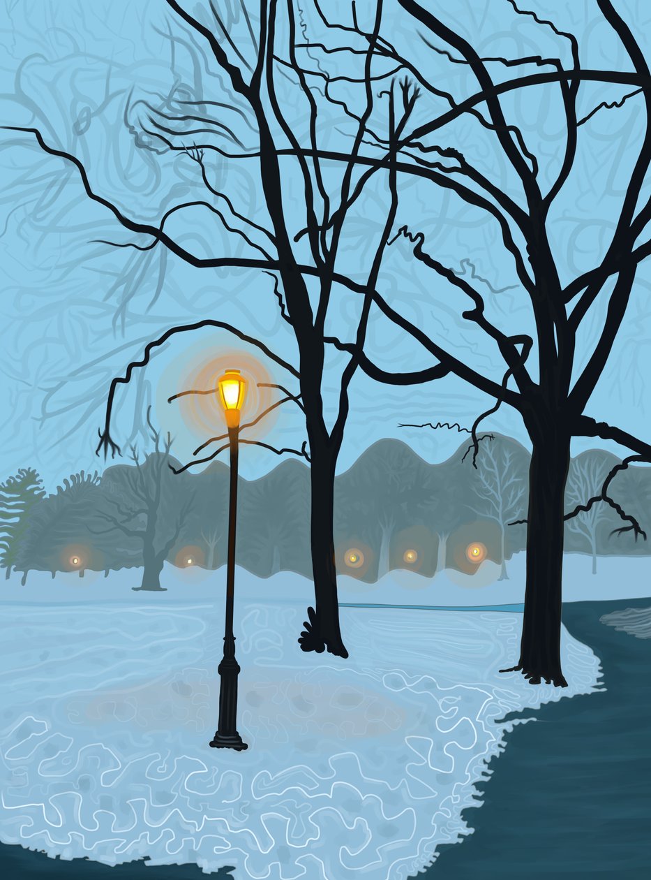 Baum im Pfütze von schmelzendem Schnee gespiegelt, Brooklyn von Evan Sklar