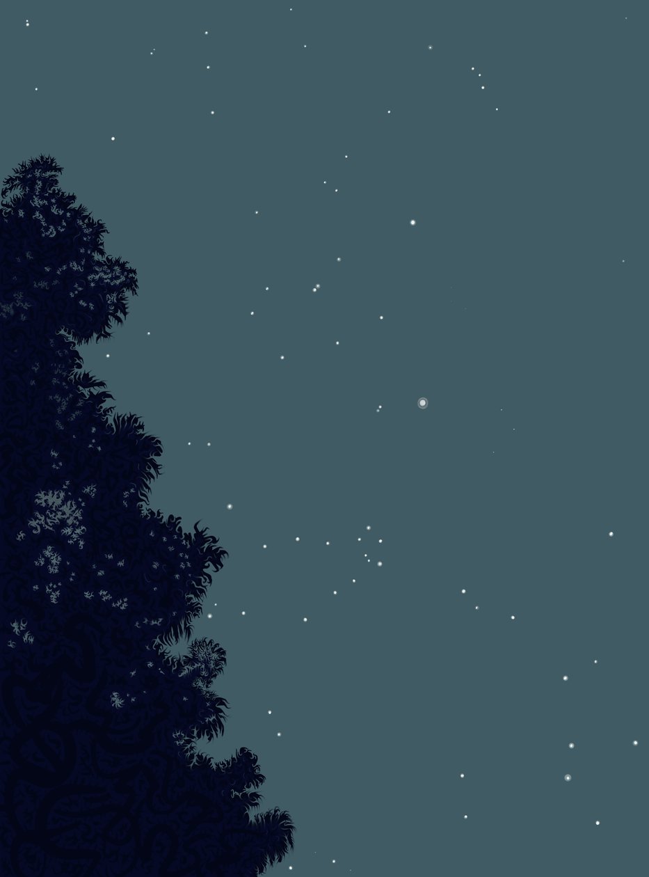 Baum und Sterne in der Nacht von Evan Sklar