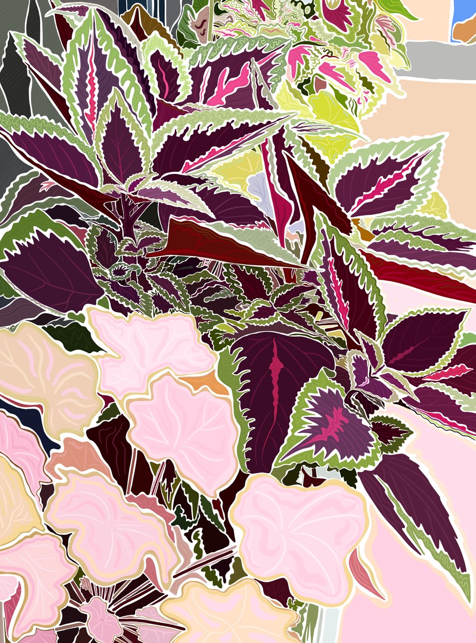 Fensterkasten mit Coleus und Korallenglocken von Evan Sklar