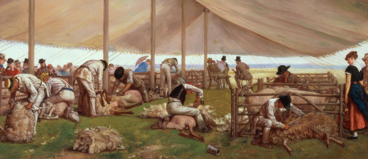 Das Schafschur-Wettbewerb, 1875 von Eyre Crowe
