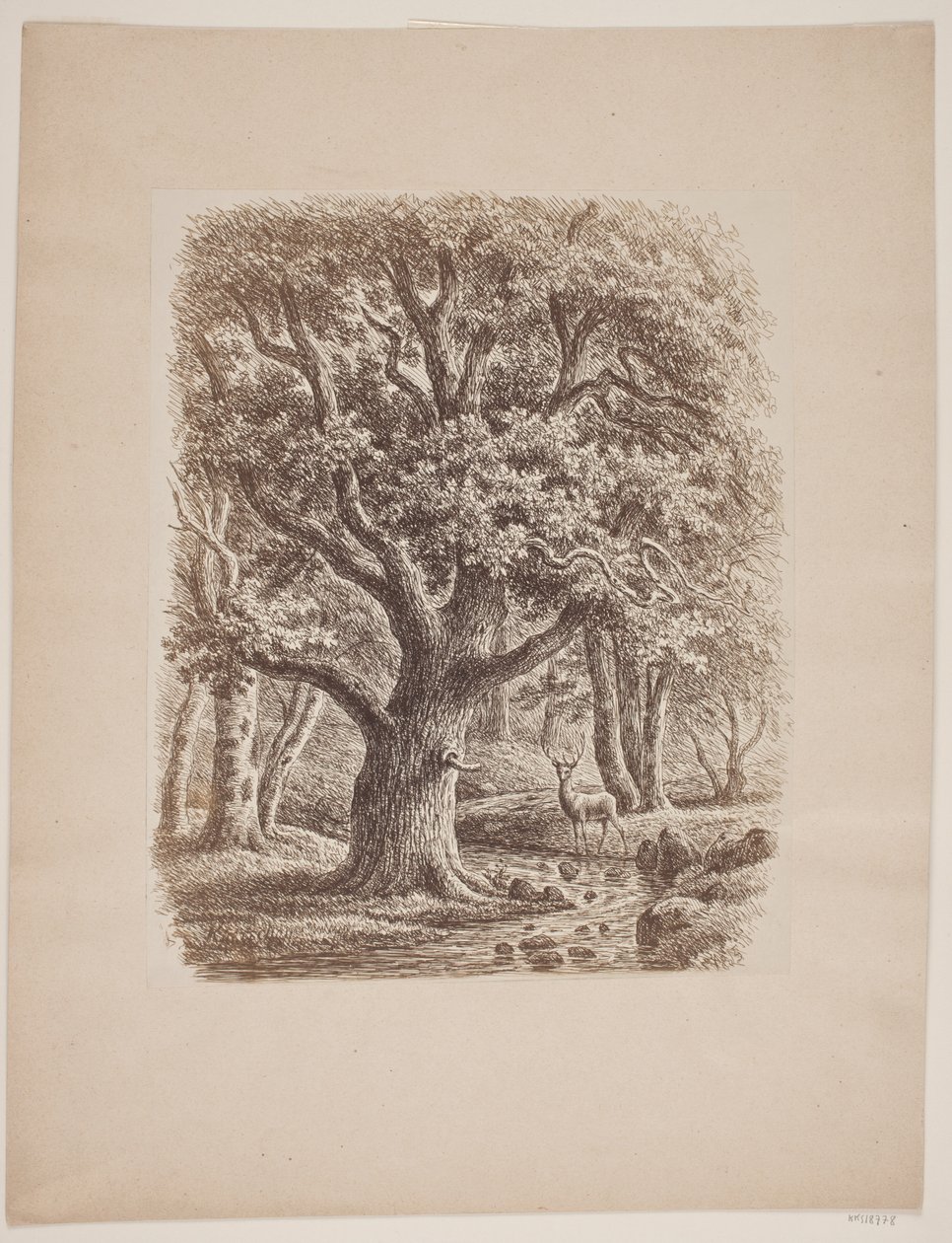Waldinneres mit einem Bach und einem Hirsch von F.C. Kiærskou