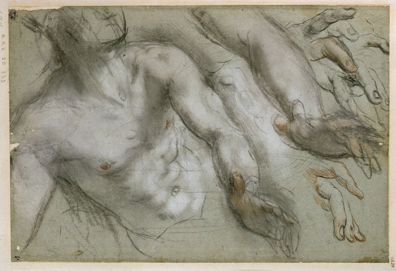 Studie für die Figur des Heiligen im Gemälde "Martyrium des Hl. Vitalis" von Federico Barocci