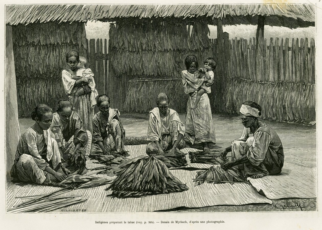 Einheimische bei der Tabakherstellung. Gravur von Myrbach zur Illustration der Geschichte Luçon und Palawan, sechs Jahre auf den Philippinen, von Alfred Marche (1844-1898), in Le Tour du monde 1886, unter der Leitung von Edouard Charton (1807-1890), Hachet von Felicien baron de Myrbach Rheinfeld
