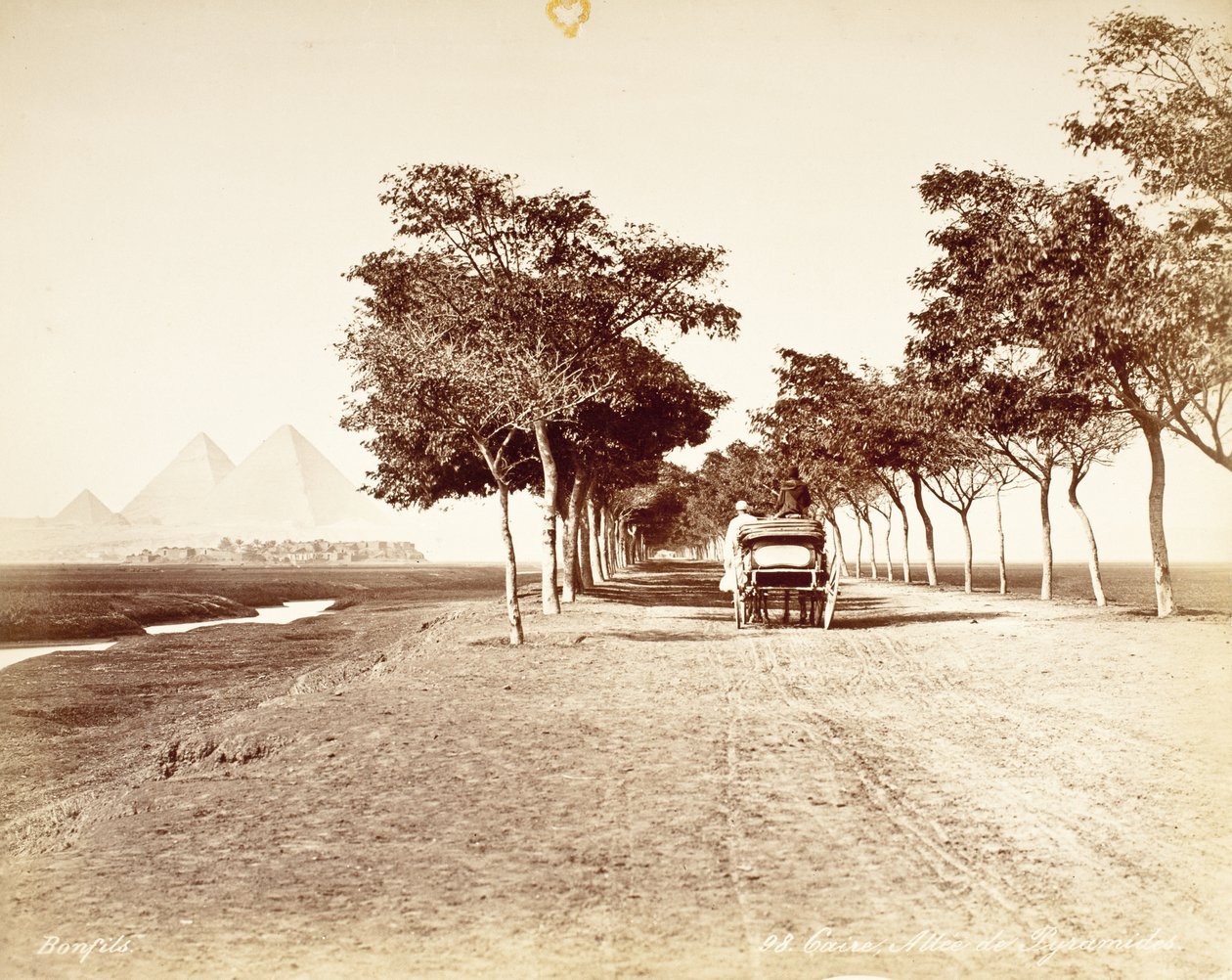 Kairo, Allee der Pyramiden #98 von Félix Bonfils