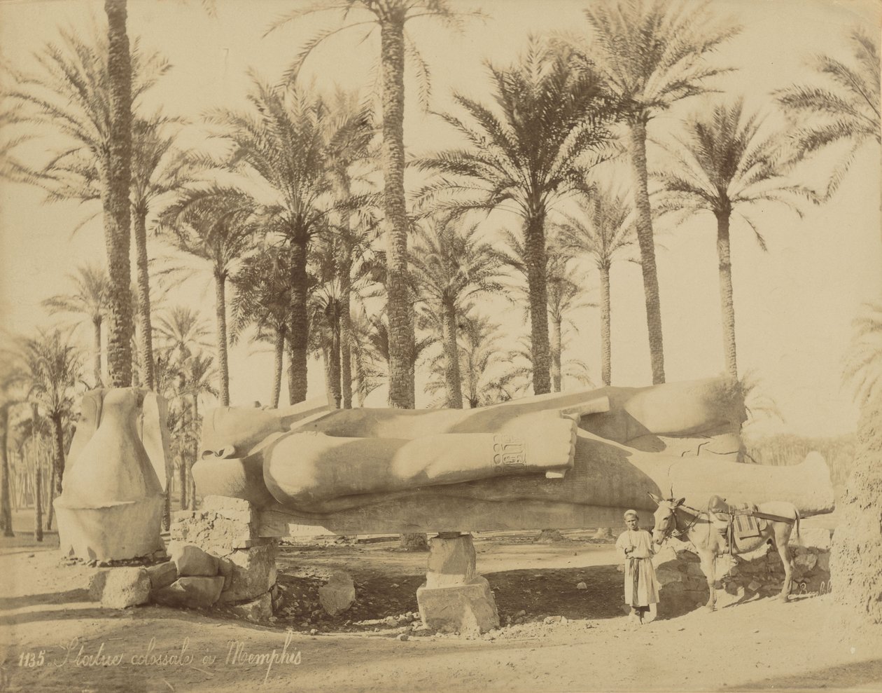 Kolossale klassische Statue in Memphis (Senwosret III) von Félix Bonfils