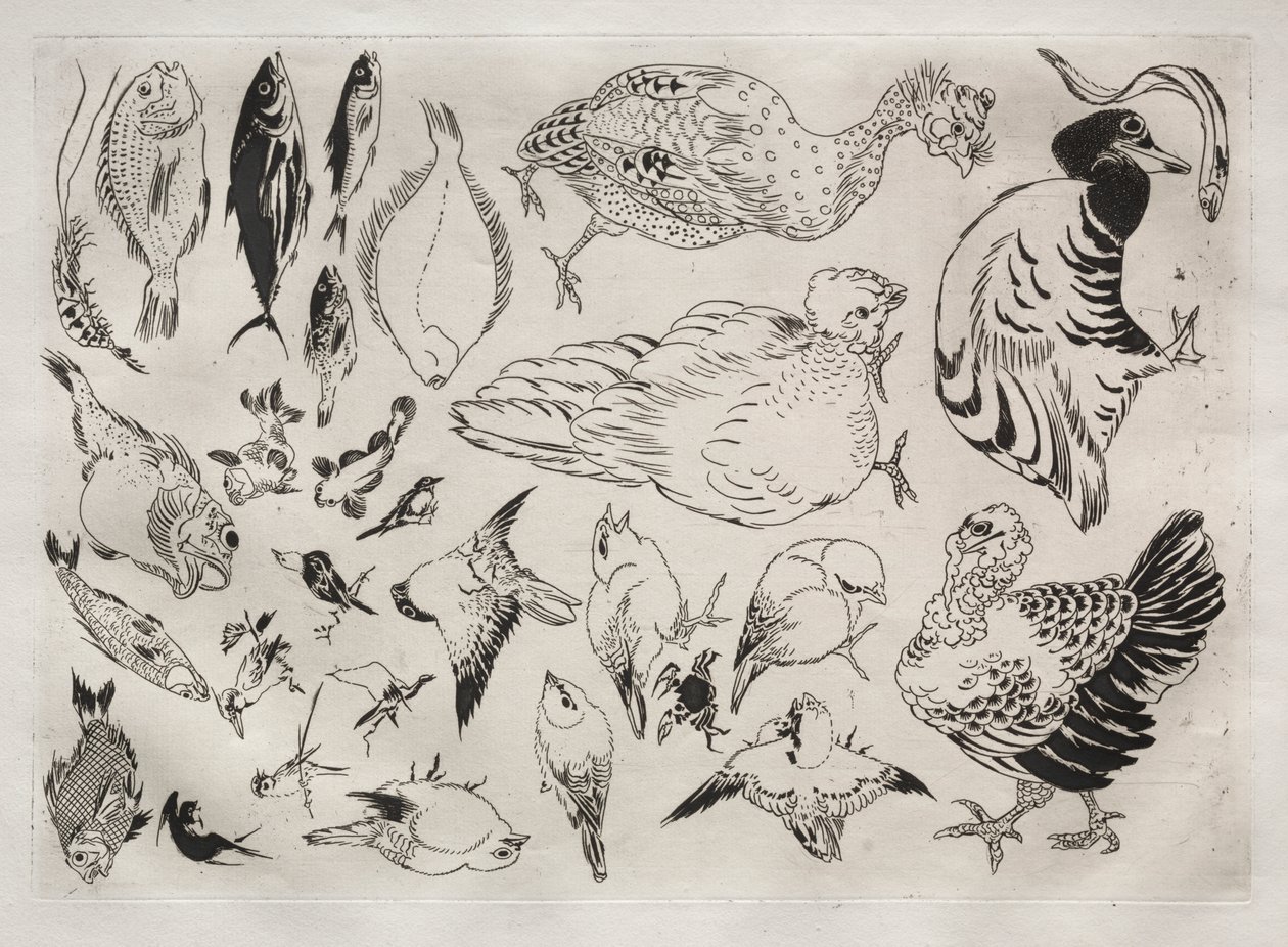 Tafelservice (Rousseau-Service): Enten, Fische usw. (Nr. 12) von Felix Bracquemond