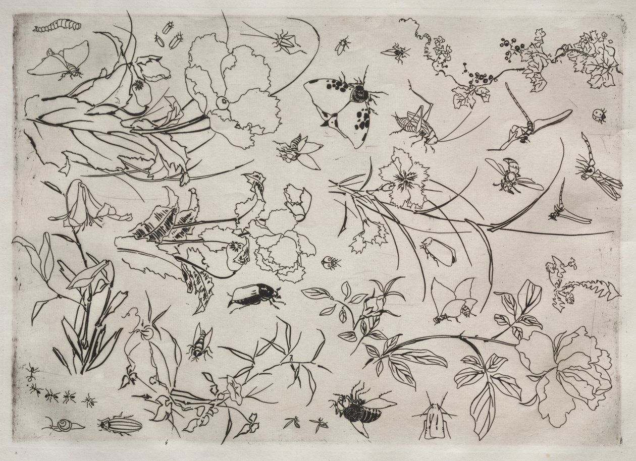 Tafelservice (Rousseau-Service): Blumen und Insekten (Nr. 15) von Felix Bracquemond