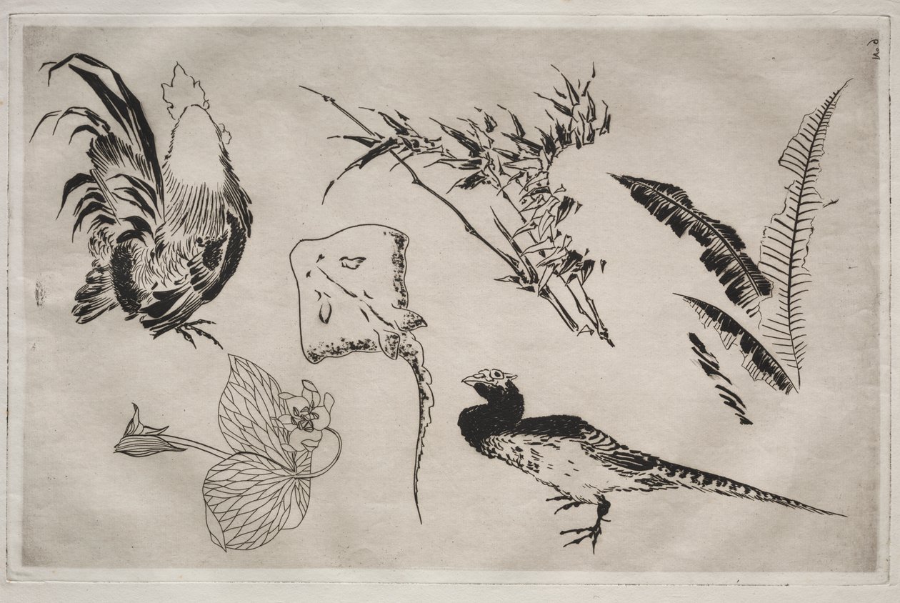 Tafelservice (Rousseau-Service): Hähne, Rochen, Pflanzen usw. (Nr. 9) von Felix Bracquemond