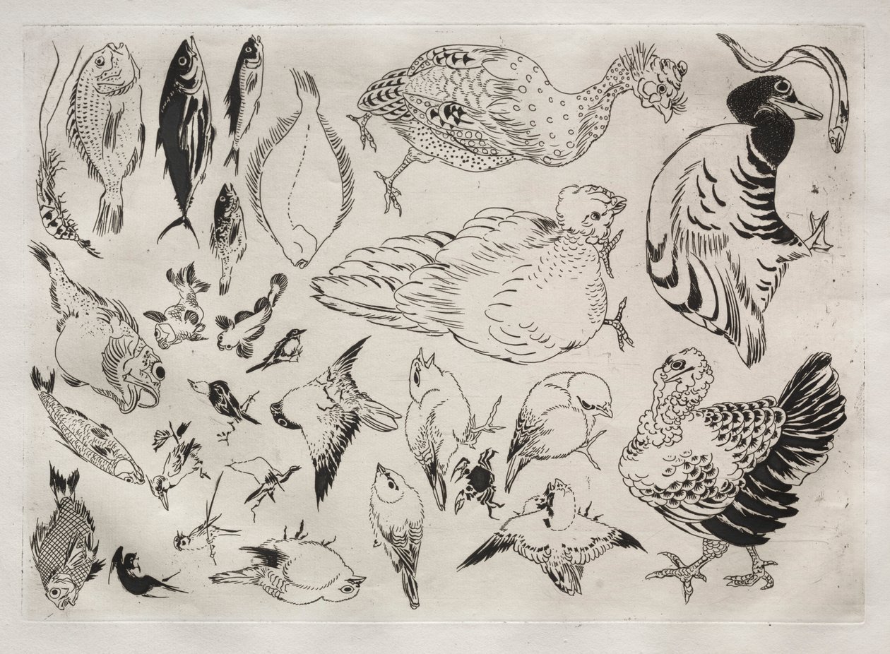 Tafelservice Rousseau: Enten, Fische, etc. Nr. 12, 1866 von Felix Bracquemond