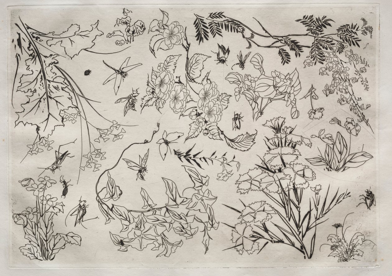 Tafelservice Rousseau-Service: Blumen Nr. 22, 1866 von Felix Bracquemond