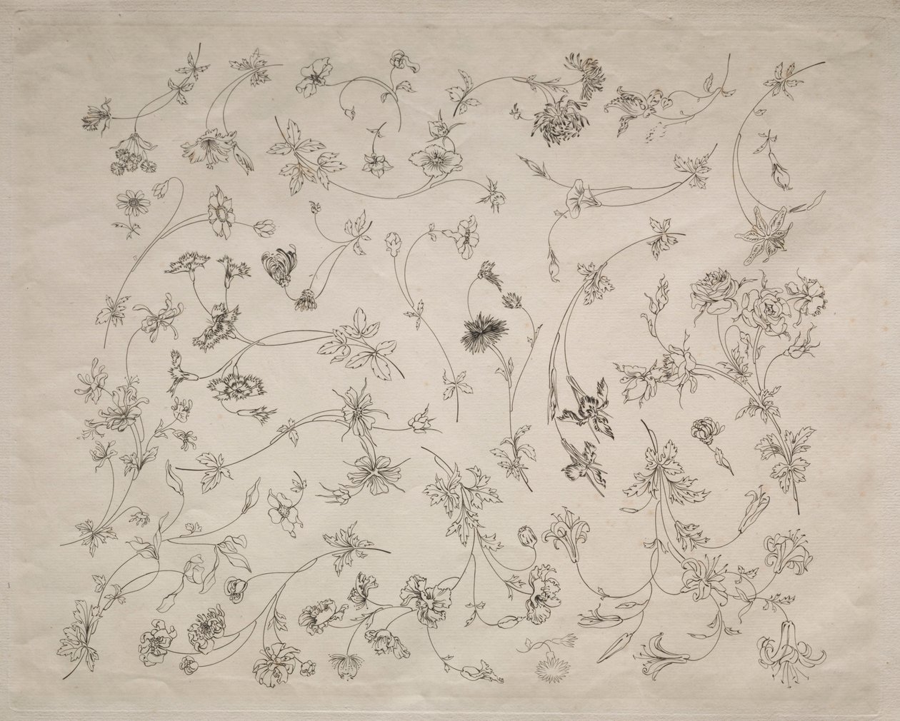 Blumendesigns für Teller und Ränder Nr. 14, 1872 von Felix Bracquemond