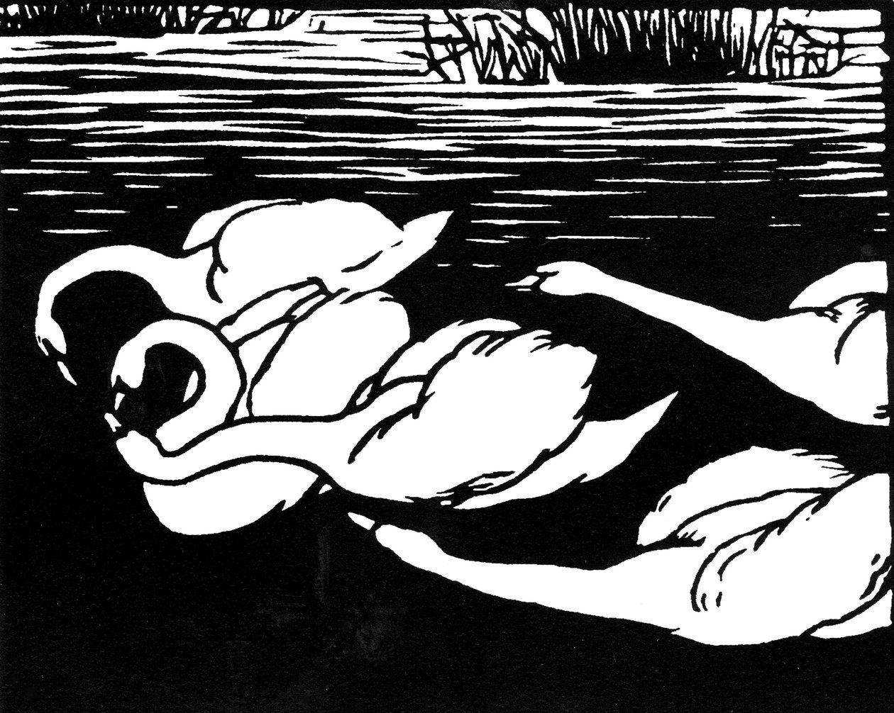 Schwäne, 1892 von Felix Edouard Vallotton