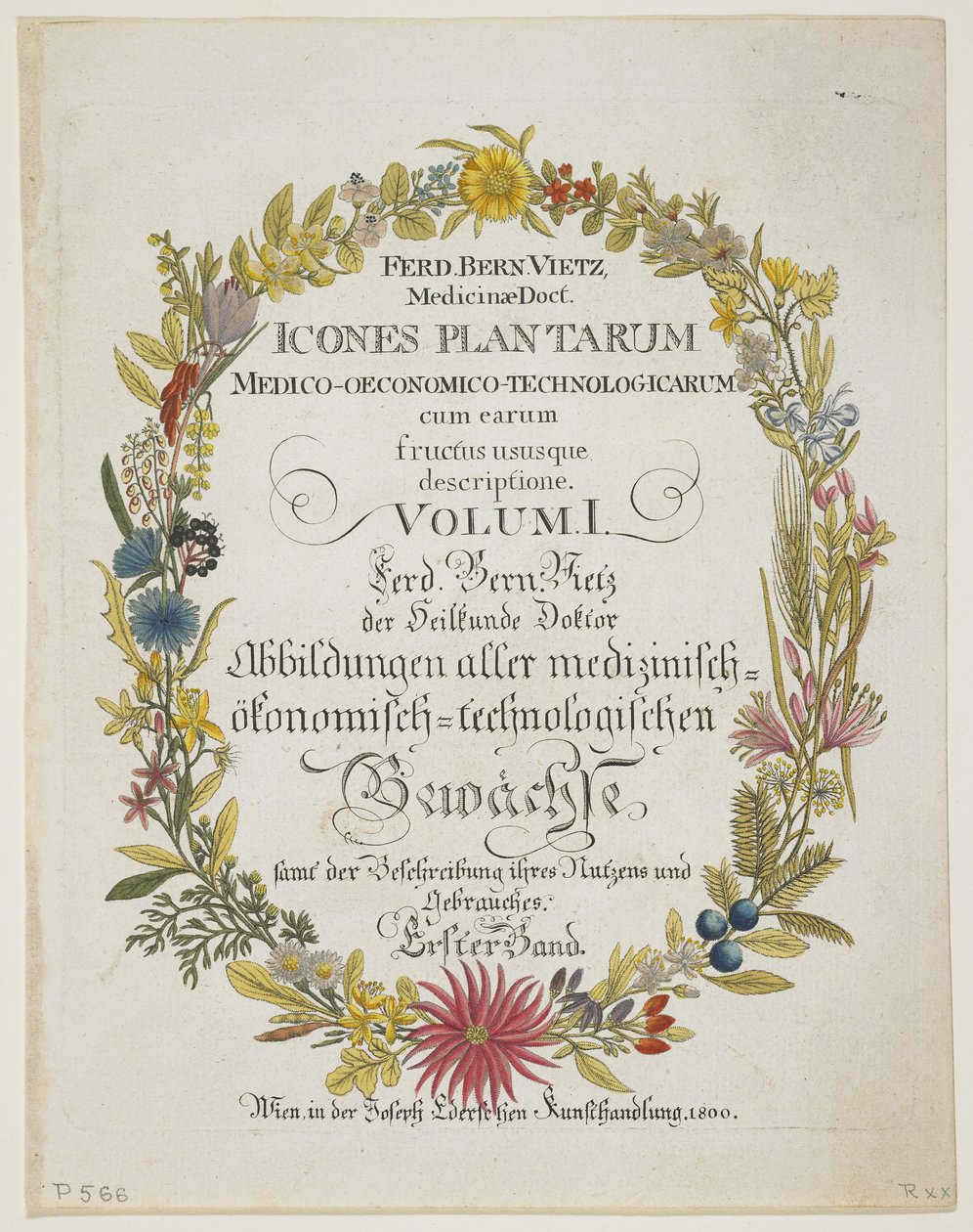 Frontispiz und Titelseite, Bd. I, aus Icones Plantarum Medico-Oeconomico-Technologicarum cum Earum Fructus ususque Descriptione, 1800 von Ferdinand Bernhard Vietz