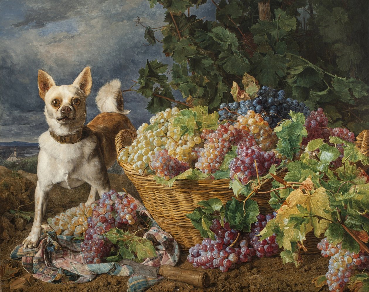 Hund bewacht einen Korb mit Trauben mit Blick auf Heiligenstadt und die Donau in der Ferne von Ferdinand Georg Waldmuller