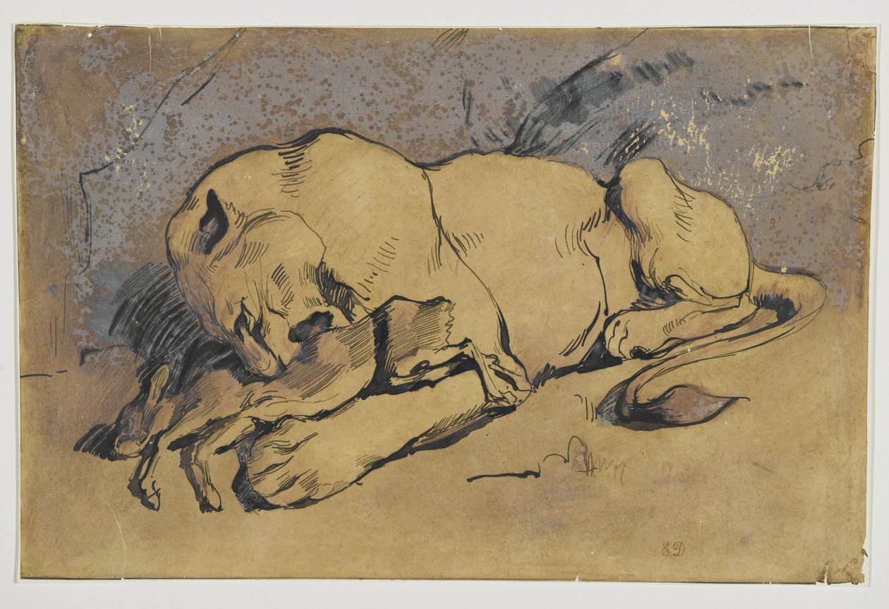 Löwin, die ein Kaninchen verschlingt von Ferdinand Victor Eugene Delacroix