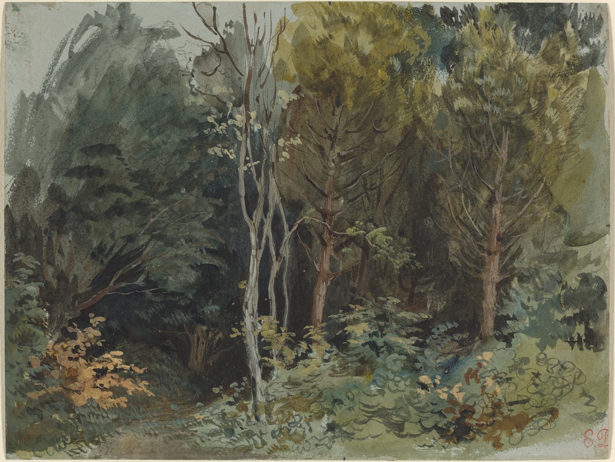 Am Waldrand bei Nohant von Ferdinand Victor Eugene Delacroix