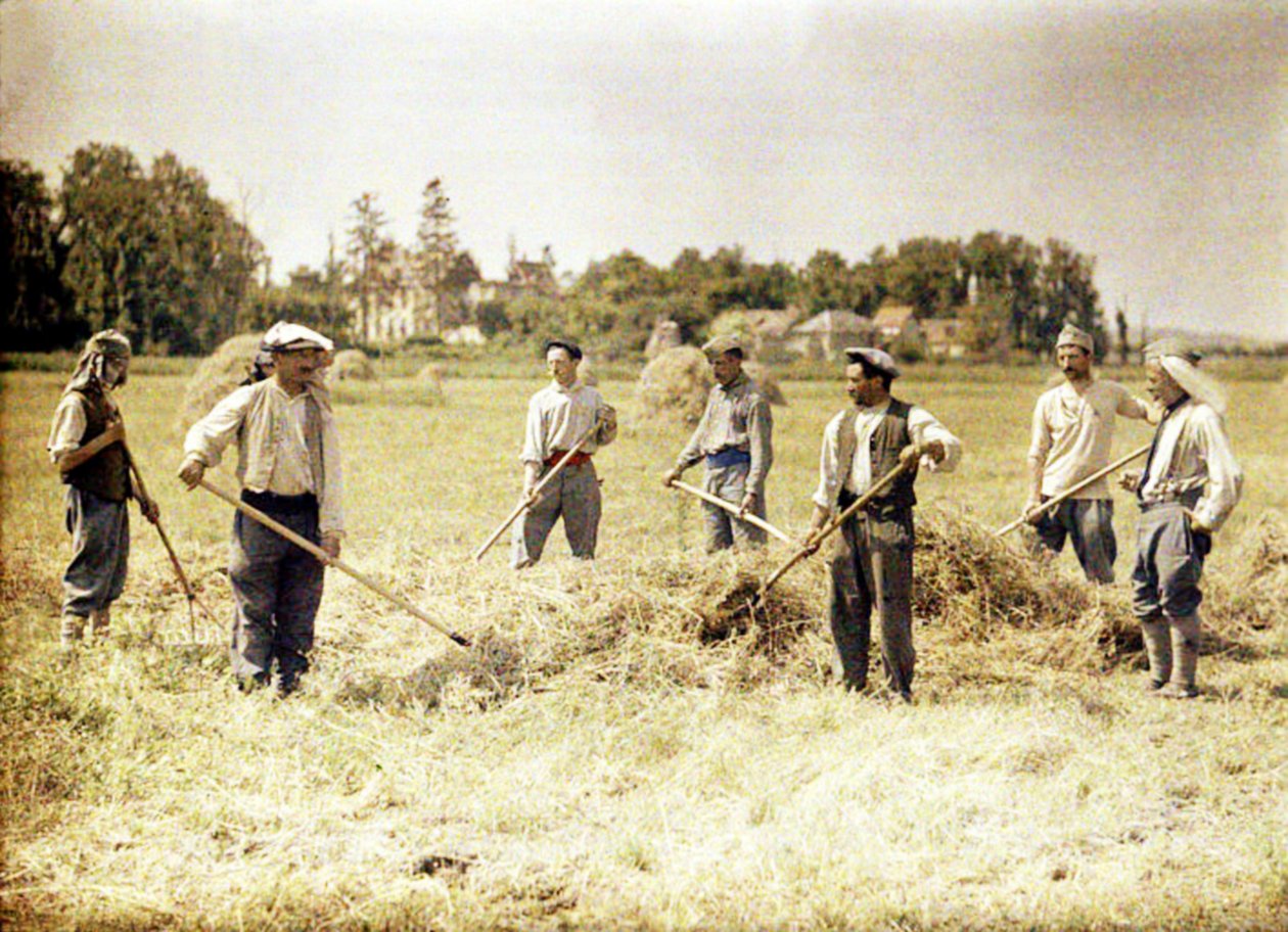 Acht Mitglieder der 143. Infanteriedivision der französischen Armee machen Heu, Soissons, Aisne, Frankreich von Fernand Cuville