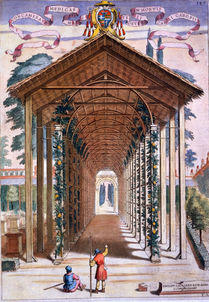Ein Gitterüberdachter Gehweg, aus 