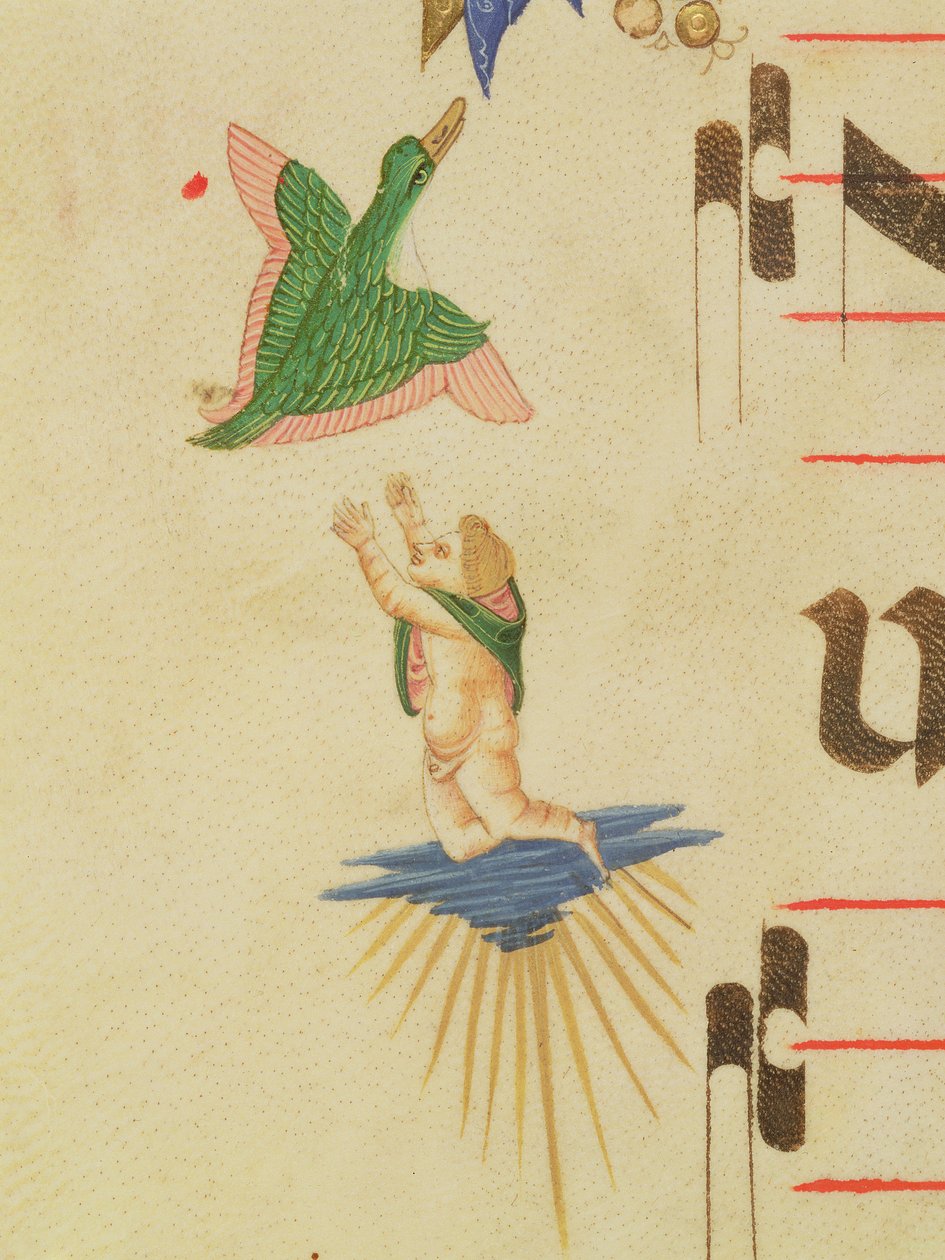 Missale 515 f.13v Ein verhüllter Cherub versucht, einen fliegenden Vogel zu fangen, aus einem dekorativen Rand, Detail aus einem Chorbuch von Filippo di Matteo Torelli