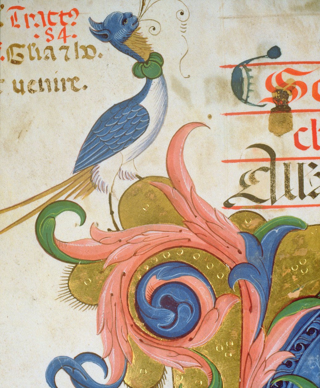 Missale 515 f.28v Fantastischer Vogel mit menschlichem Kopf, Detail aus einem Chorbuch von Filippo di Matteo Torelli