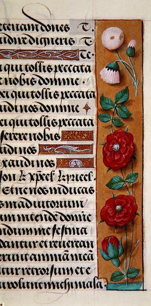 Ms. 1058-1975, f.120r: (Detail) einer floralen Bordüre aus einem Stundenbuch, ca. 1500 von Flemish School