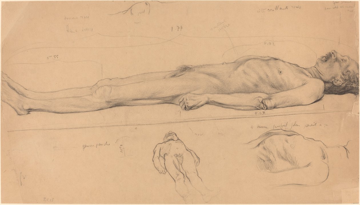 Studie des Leichnams für den toten Christus von Félix Vallotton